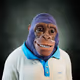 8423