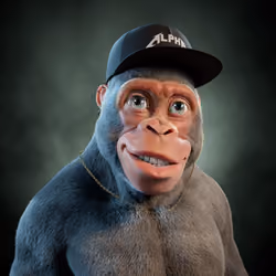 Alpha Kong #2013