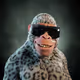 6078