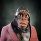 752