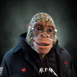 Alpha Kong #1400
