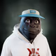 6691