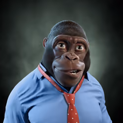 Alpha Kong #2805