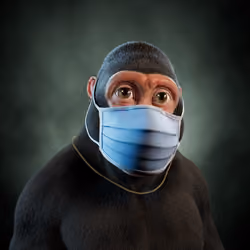 Alpha Kong #4394