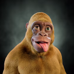 Alpha Kong #5810