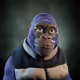 1198