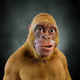 8080