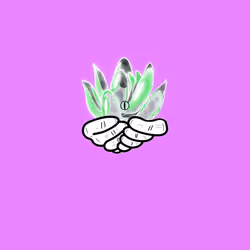 FUCCULENT #379