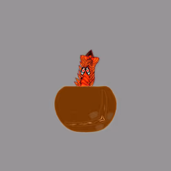 FUCCULENT #1565