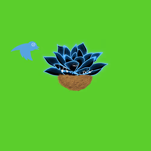 Item #593 Media
