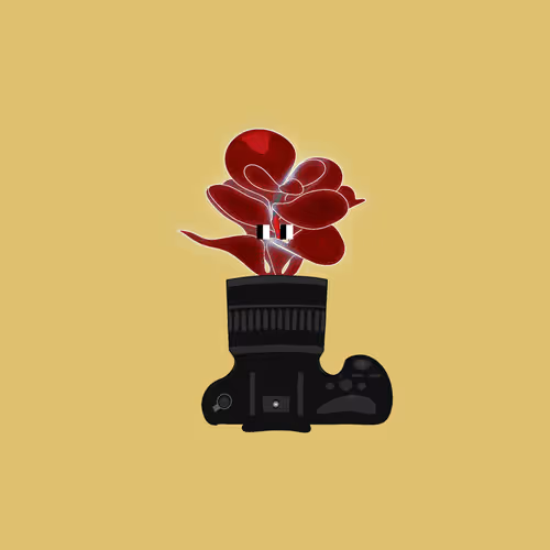 Item #812 Media