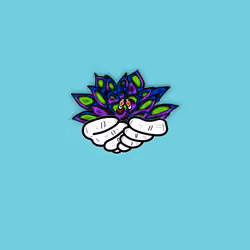 FUCCULENT #378