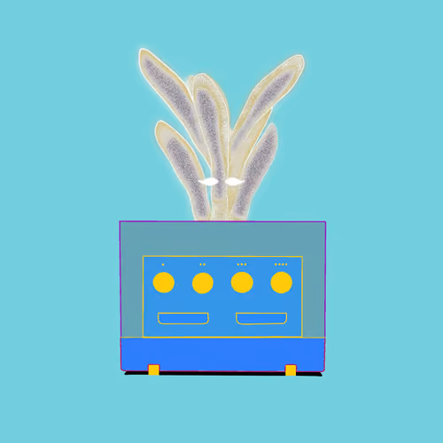 FUCCULENT #264