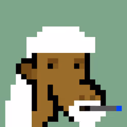The Saudis Camels #721