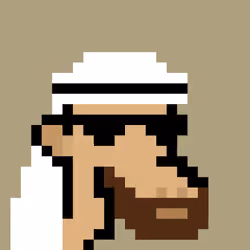The Saudis Camels #664