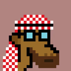 The Saudis Camels #821