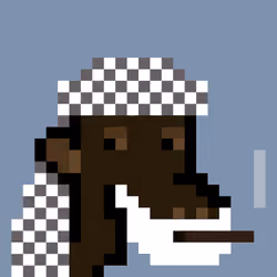 The Saudis Camels #539