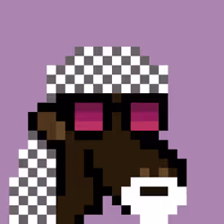 The Saudis Camels #333