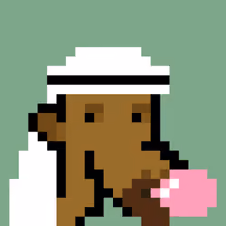 The Saudis Camels #1017