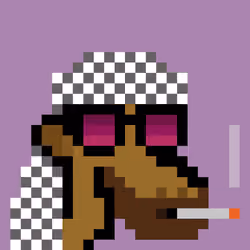 The Saudis Camels #541