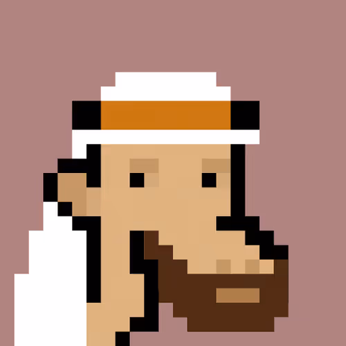 The Saudis Camels #378