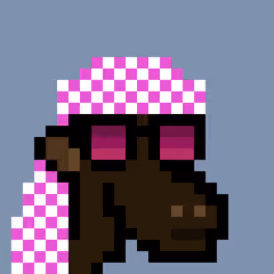 The Saudis Camels #759