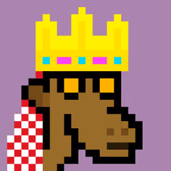 The Saudis Camels #817