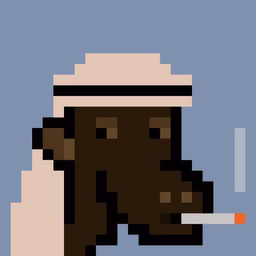 The Saudis Camels #389
