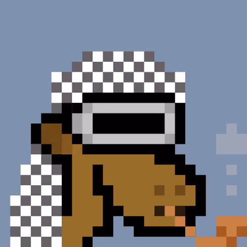 The Saudis Camels #316