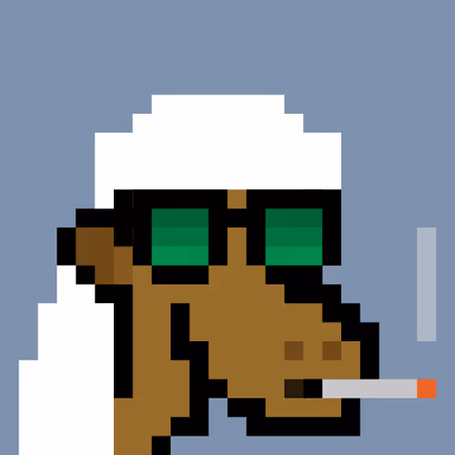 The Saudis Camels #299