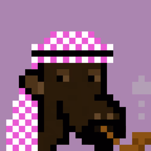 The Saudis Camels #282