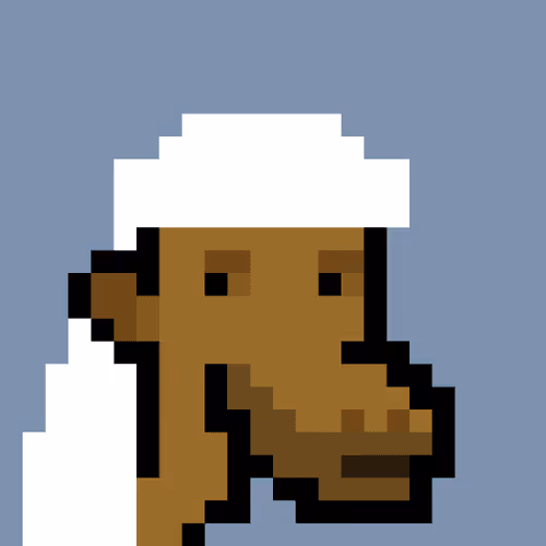 The Saudis Camels #309