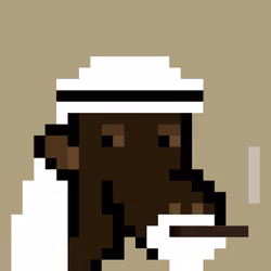 The Saudis Camels #757