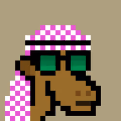 The Saudis Camels #823