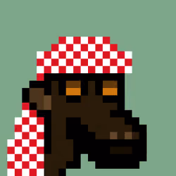 The Saudis Camels #722