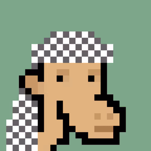 The Saudis Camels Official