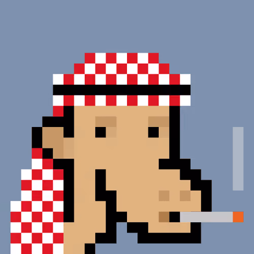 The Saudis Camels #327
