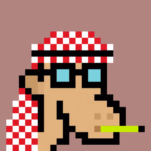 The Saudis Camels #166