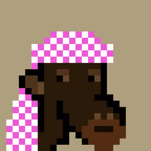 The Saudis Camels #202