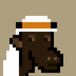 The Saudis Camels #799