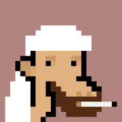 The Saudis Camels #407