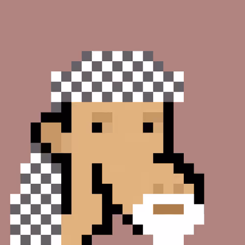 The Saudis Camels #240