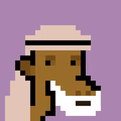 The Saudis Camels #149