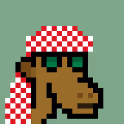 The Saudis Camels #471