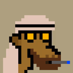 The Saudis Camels #548