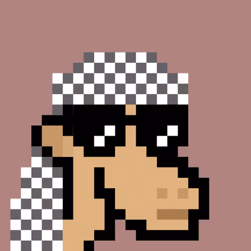 The Saudis Camels Official