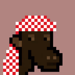The Saudis Camels #758