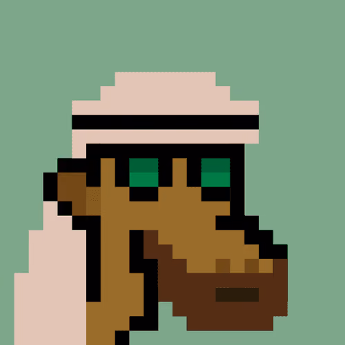 The Saudis Camels #152