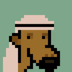 The Saudis Camels #844