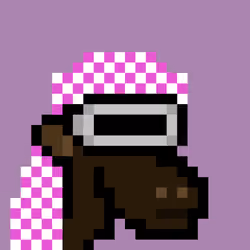 The Saudis Camels #891